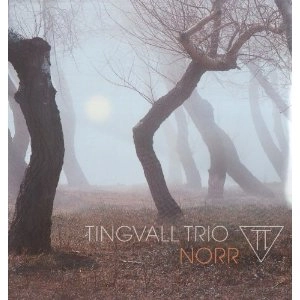 TINGVALL TRIO / ティングヴァル・トリオ / NORR