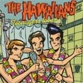 HAWAIIANS / ハワイアンズ / TEENAGERS LOVE