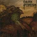 DARK FOREST / DARK FOREST