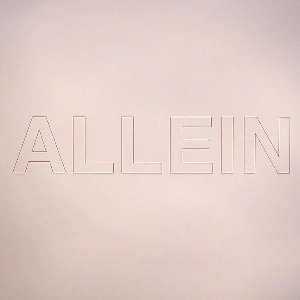 QUARKS / ALLEIN