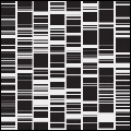 RYOJI IKEDA / 池田亮司 / TEST PATTERN