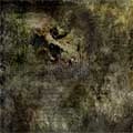 IN THA UMBRA / THUS OPEN THIN EERIE WINGS