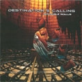 DESTINATION'S CALLING / ディスティネーションズ・コーリング / INVISIBLE WALLS