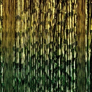 HARUOMI HOSONO / 細野晴臣 / JADO REMIX REMIXED BY KEN ISHII / JADO REMIX~リミックスド・バイ ケンイシイ