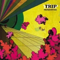 mexico taxi / メキシコタクシー / TRIP
