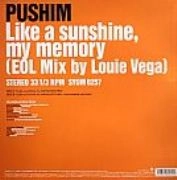 PUSHIM / プシン / ライク・ア・サンシャイン・イン・マイ・メ