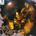 DEV LARGE aka D.L. / 盲目時代