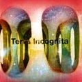 旅団 / TerraIncognita