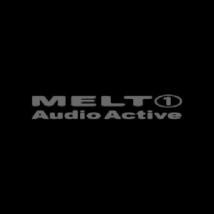AUDIO ACTIVE / オーディオ・アクティヴ / メルト1 / MELTO 1