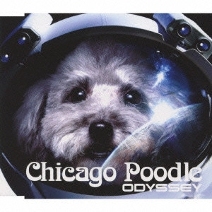 Chicago Poodle / シカゴ・ブードル / ODYSSEY
