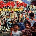 SOUL FLOWER UNION / ソウル･フラワー･ユニオン / スクリューボール・コメディ