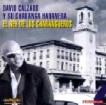 DAVID CALZADO Y SU CHARANGA HABANERA / ダビー・カルサード・イ・ス・チャランガ・アバネーラ / エル・レイ・デ・ロス・チャランゲーロス