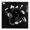 オムニバス(いずみたく) / 美しい地球　いずみたくプレゼンツ
