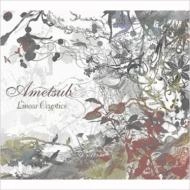 AMETSUB / アメツブ / Linear Cryptics