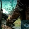 NICOLAY / ニコレイ / ＨＥＲＥ