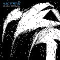 FORCE OF NATURE / フォース・オブ・ネイチャー / ＦＯＲＣＥ　ＢＥＨＩＮＤ　ＴＨＥ　ＰＯＷ