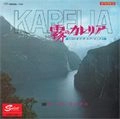 SPOTNICKS / スプートニクス / 霧のカレリア