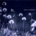 QUANTEC / クオンティック / ＵＮＵＳＵＡＬ　ＳＩＧＮＡＬＳ