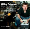 V.A.(GILLES PETERSON DIGS AMERICA) / ジャイルス・ピーターソン　ブラウンスウッ