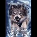 SONATA ARCTICA / ソナタ・アークティカ / フォー・ザ・セイク・オヴ・リヴェンジ（初回