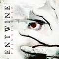 ENTWINE / エントワイン / ペインステインド
