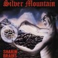 SILVER MOUNTAIN / シルヴァー・マウンテン / シェイキン・ブレインズ