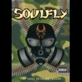 SOULFLY / ソウルフライ / ザ・ソング・リメインズ・インセ