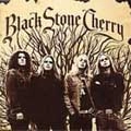 BLACK STONE CHERRY / ブラック・ストーン・チェリー / ブラック・ストーン・チェリー
