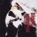 Dohatsuten / 怒髪天 / 武蔵野犬式