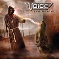 VOICE(METAL) / ソウルハンタ－