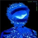 DAISUKE FUJIWARA / jazzic anomaly