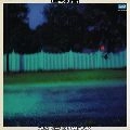 YANAGI GEORGE & RAINY WOOD / 柳ジョージ&レイニーウッド / RAINY WOOD AVENUE
