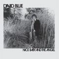 DAVID BLUE / デヴィッド・ブルー / ナイス･ベイビー･アンド･ジ･エンジェル