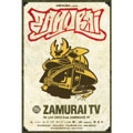HIFANA / ハイファナ / ＺＡＭＵＲＡＩ　ＴＶ