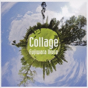 IKURO FUJIWARA / 藤原いくろう / コラージュ / COLLAGE