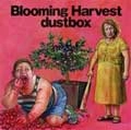 dustbox / Ｂｌｏｏｍｉｎｇ　Ｈａｒｖｅｓ
