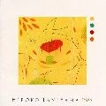 HIROKO TANIYAMA / 谷山浩子 / ＨＩＲＯＫＯ　ＴＡＮＩＹＡＭＡ’８０Ｓ