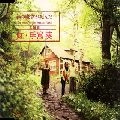 AOI TESHIMA / 手嶌葵 / 虹