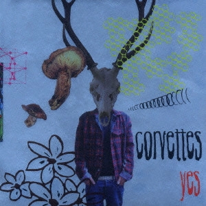 corvettes / コルベッツ / yes