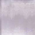 Boris with Merzbow / ｍｅｇａｔｏｎｅ