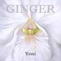 GINGER / ジンジャー / ヨーニ