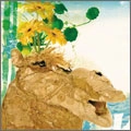 WATER WATER CAMEL / 花がよくにあう