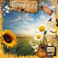 VA (ONE BIG FAMILY RECORDS) / ｇｏｏｄ　ｌｉｆｅ～