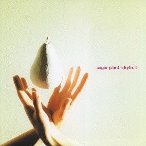 sugar plant / dryfruit