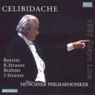 SERGIU CELIBIDACHE / セルジゥ・チェリビダッケ / ブラームス：交響曲第4番、他(2CD)