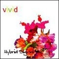 HYBRID SIGNAL / ハイブリッド・シグナル / Ｖｉｖｉｄ