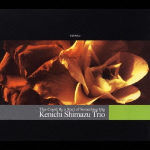 KENICHI SHIMAZU / 嶋津健一 / ニュー・コンセプト・オブ・ピアノ・トリオ / THIS COULD BE A START OF SOMETHING BIG