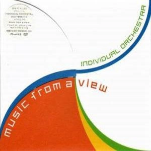 INDIVIDUAL ORCHESTRA / MUSIC FROM A VIEW