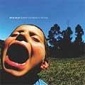 HAVE HEART / ハヴ・ハート / ＳＯＮＧＳ　ＴＯ　ＳＣＲＥＡＭ　ＡＴ　Ｔ