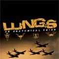 LUNGS / ラングス / ＡＮＡＴＯＭＩＣＡＬ　ＧＵＩＤＥ